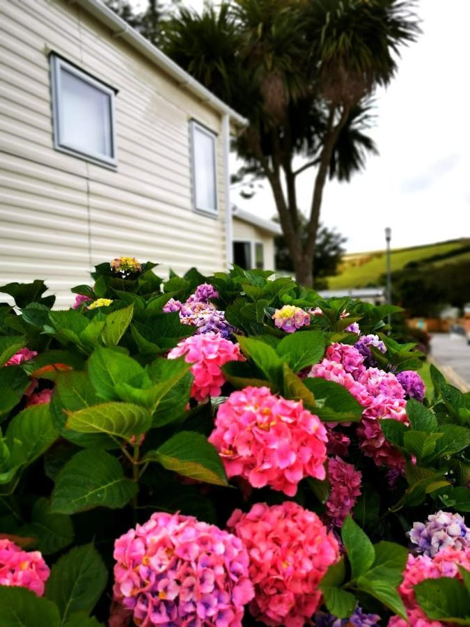 Newquay Buy Resort Holiday Eksteriør billede